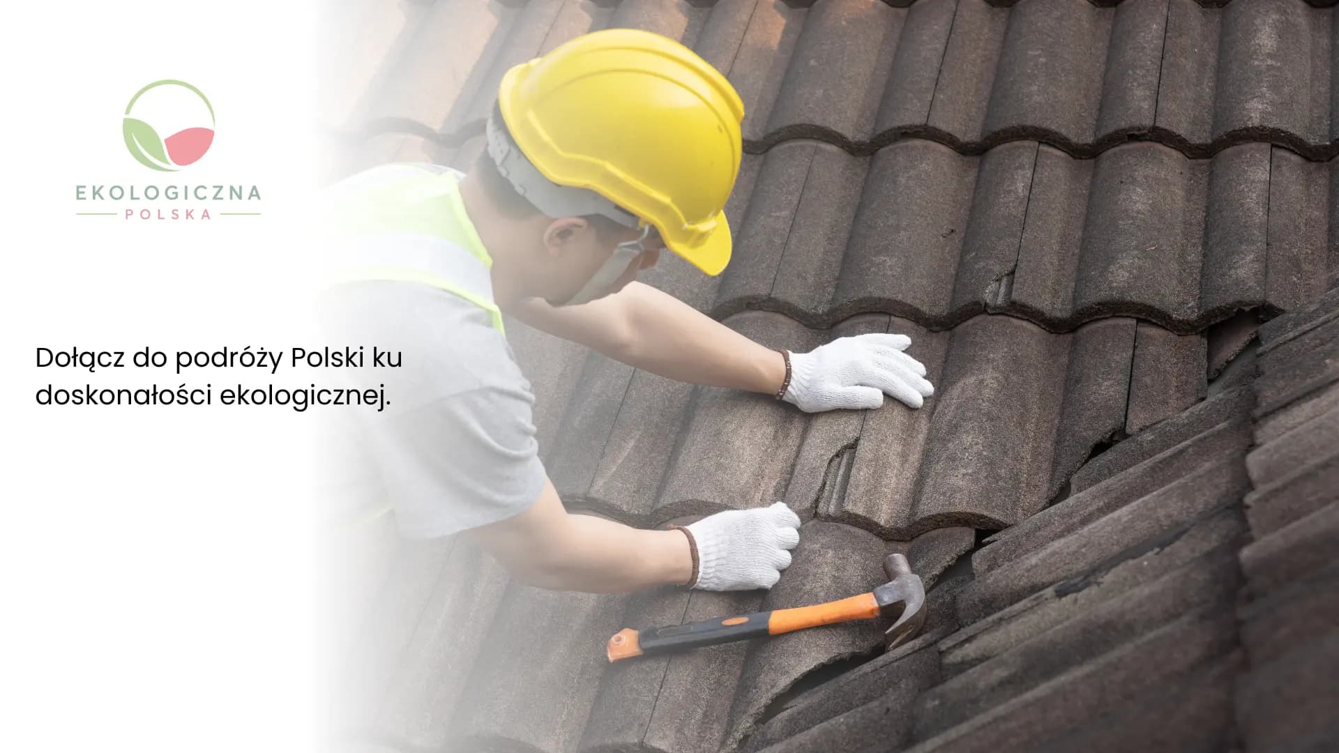 Polska Doskonałość Środowiskowa - Energia Odnawialna, Ochrona Lasów, Zrównoważony Rozwój