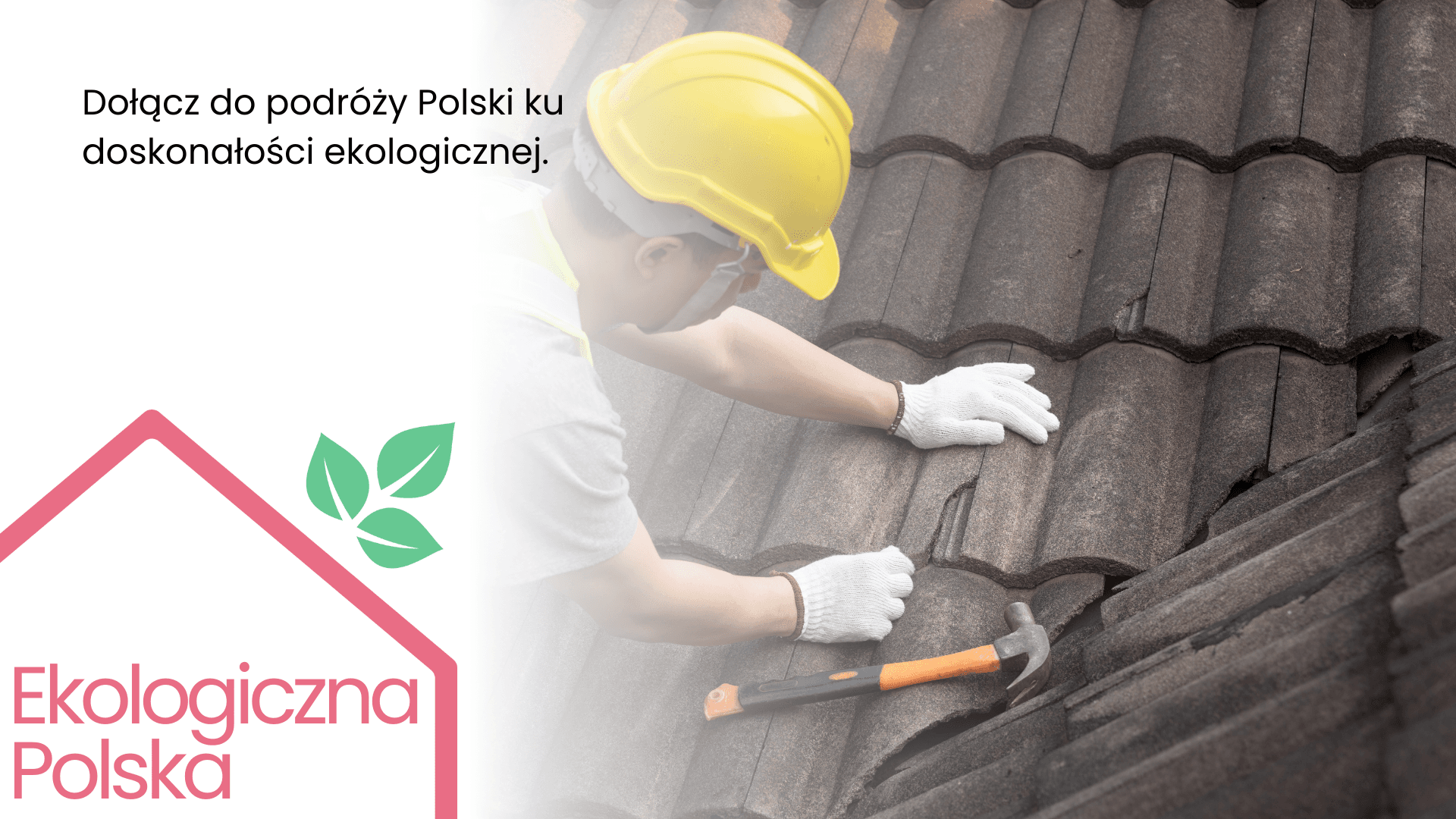 Polska Doskonałość Środowiskowa - Energia Odnawialna, Ochrona Lasów, Zrównoważony Rozwój